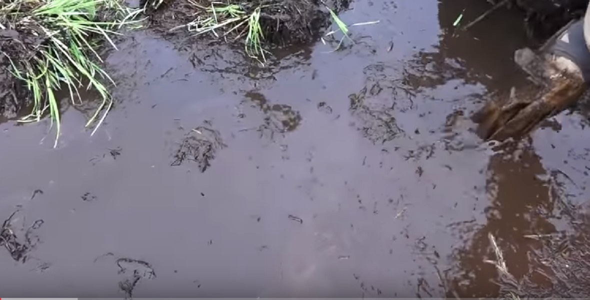 Fucile sovietico ritrovato nello stagno 70 anni dopo