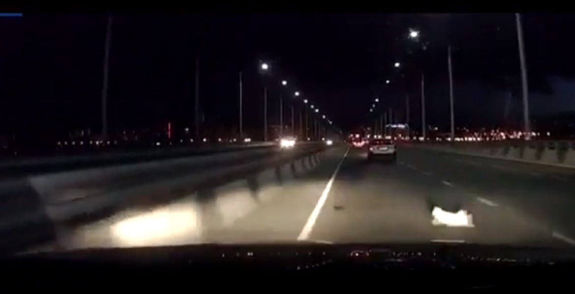 Gatto cade da auto in corsa su strada trafficata: era nascosto vicino alla marmitta