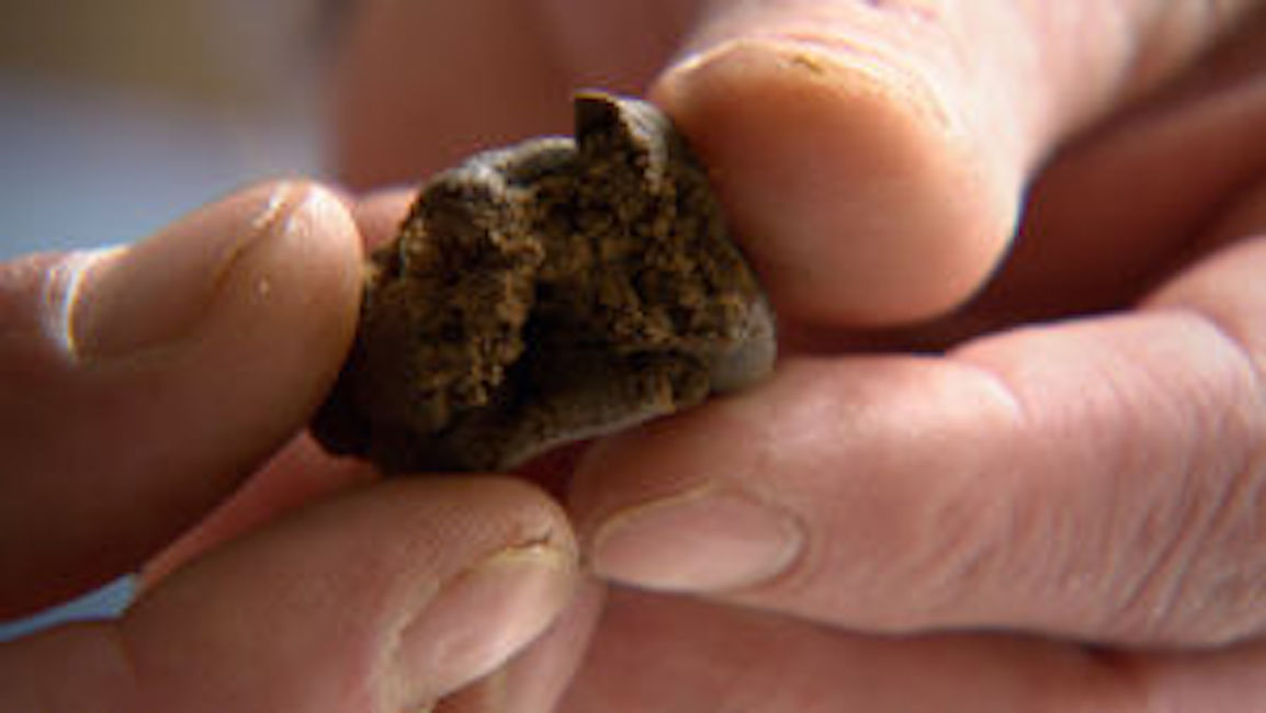 Milano, bimba intossicata da hashish: disposto affido ai servizi sociali
