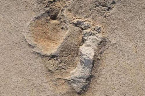 Creta: mistero impronte umane 5,7 milioni di anni fa. Ma allora gli uomini erano solo in Africa03