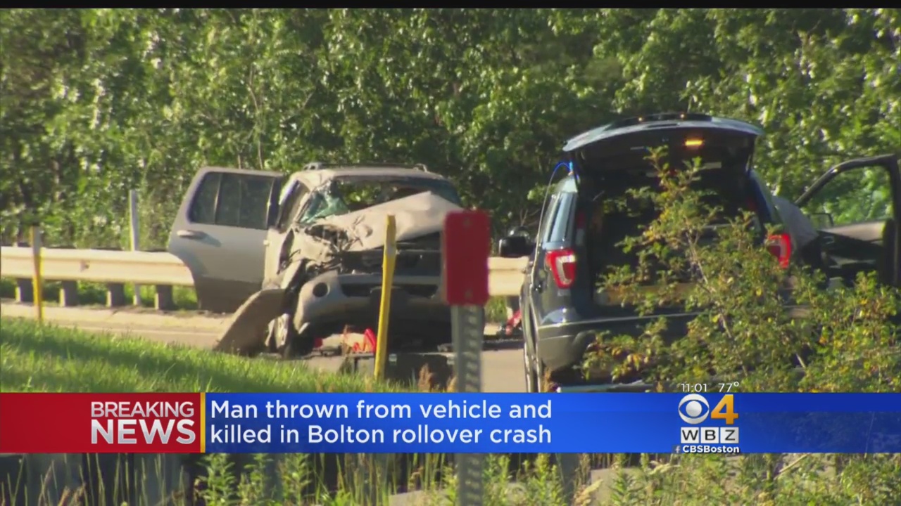 Colorado: auto contro orso, tre persone morte. E anche l'animale