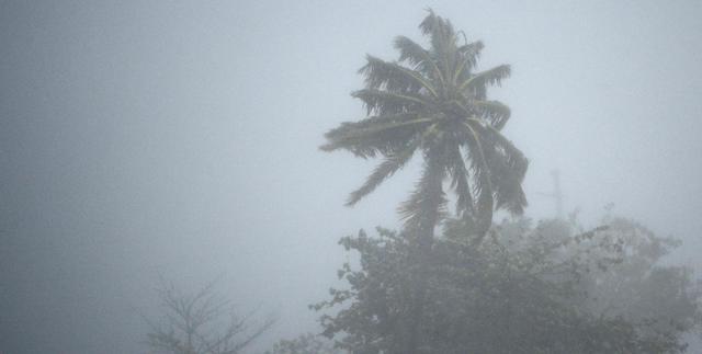 YOUTUBE Uragano Irma sradica gli alberi. "Paesaggio apocalittico"