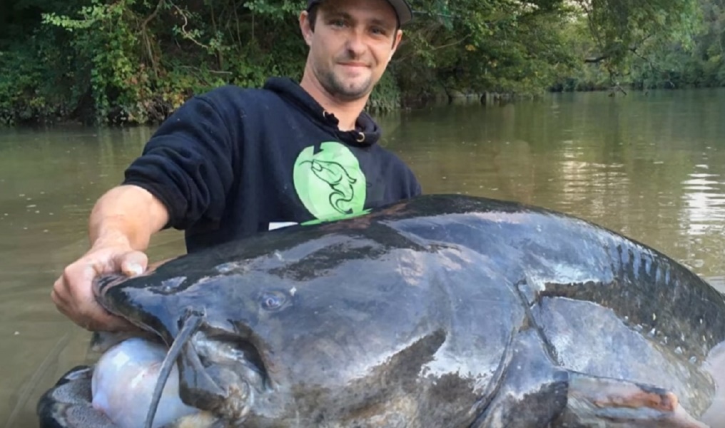 Pesce siluro lungo 2,74 metri pescato in Francia: è record