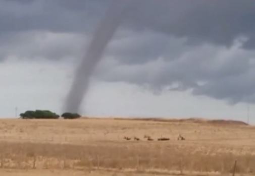 YOUTUBE Sassari, tromba d'aria nelle campagne