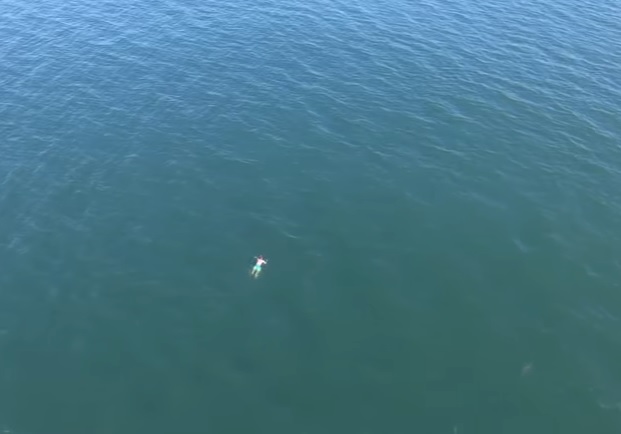 YOUTUBE Cerca di sfuggire all’arresto buttandosi nell'Oceano, ma c'è squalo