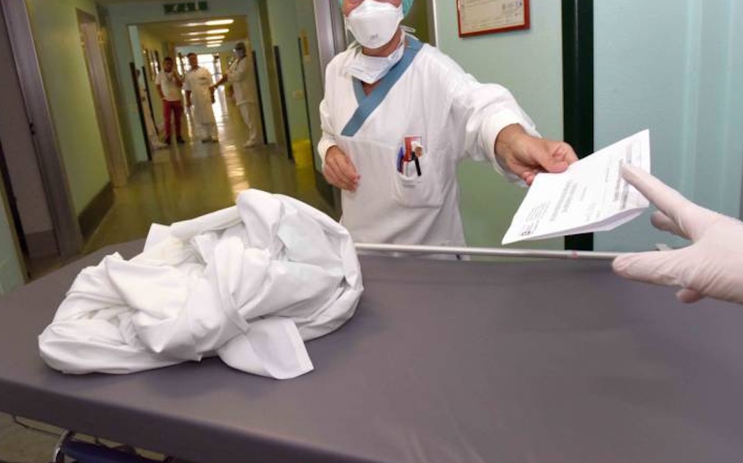 Bolzano, allarme tifo: ricoverata una donna, appena rientrata dall'Asia