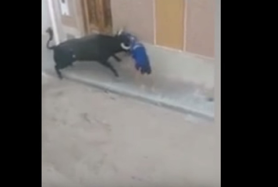 Spagna, prova a rifugiarsi in un portone: toro lo insegue e lo colpisce a morte
