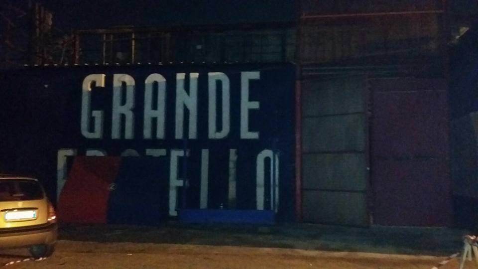 GF-Vip-boa-constrictor