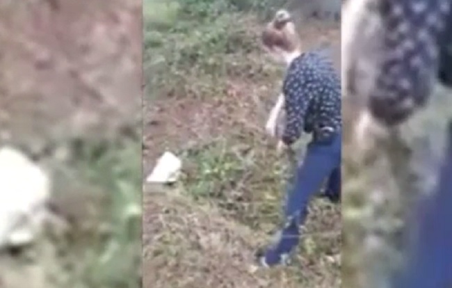 youtube-donna-anaconda