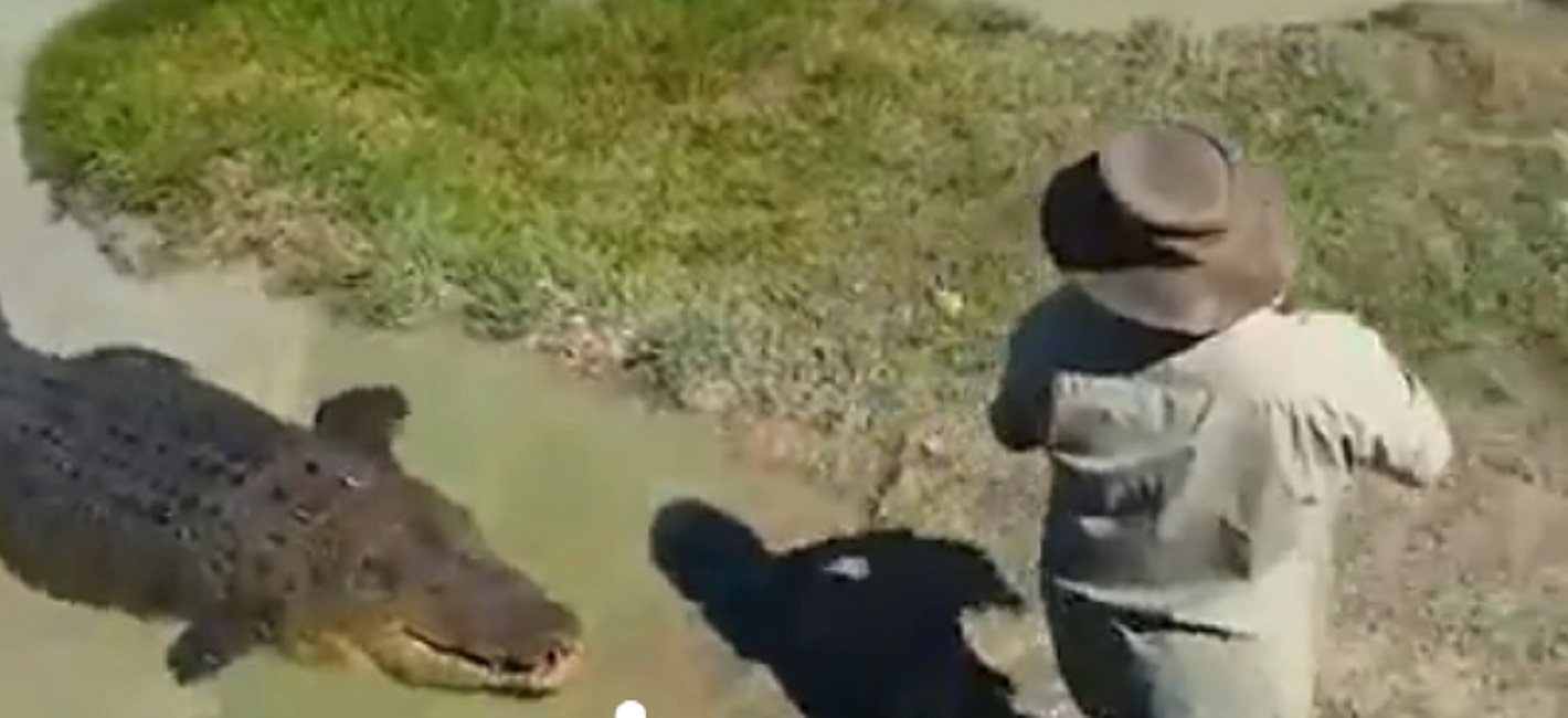 coccodrillo-ranger-australia