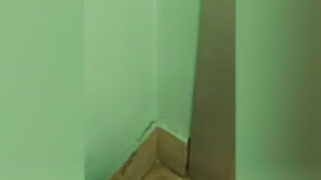 palermo-formiche-ospedale