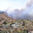 incendi-piemonte-bosco