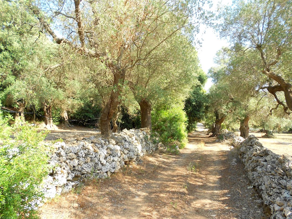 maruggio-giovanni-iurlaro