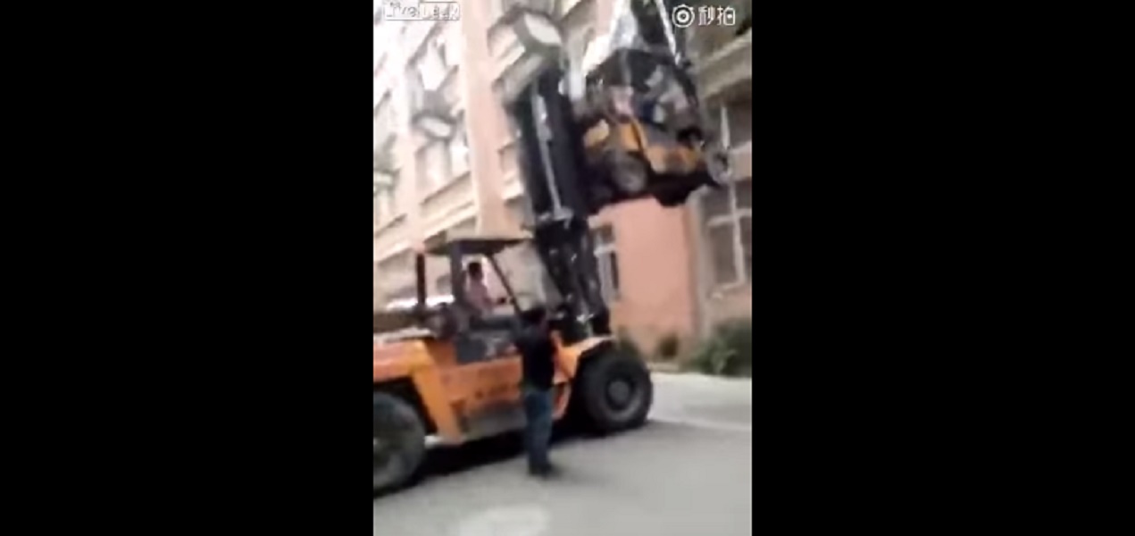 muletto_sopra_altro_cina