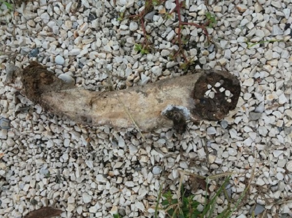 Treviso. Ossa sparse nel cimitero di Resana. Rito satanico o resti di una grigliata?