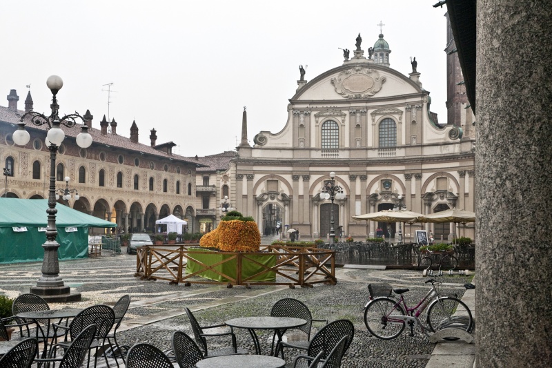pavia-multa-beve