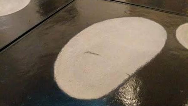 pinacoteca-bari-danno-opera-arte