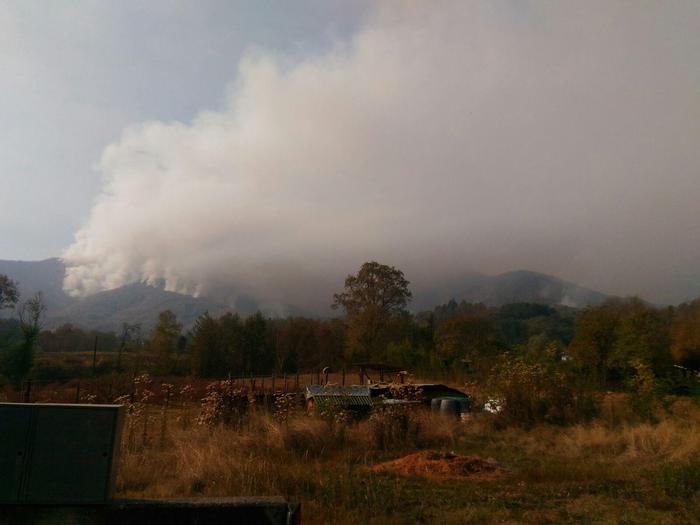 incendi-alberto-arbrile