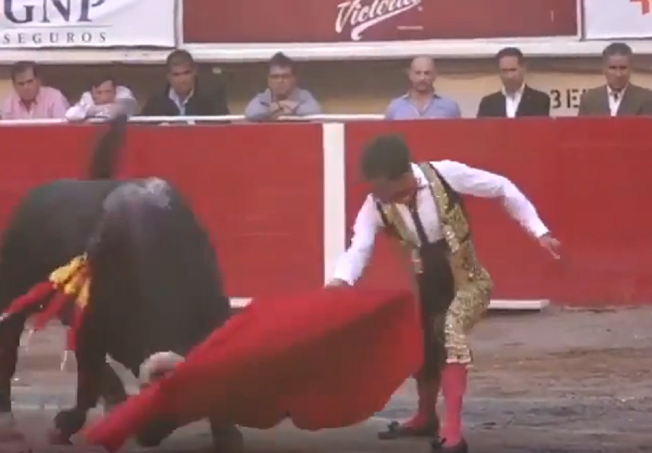 torero-messico-incornato