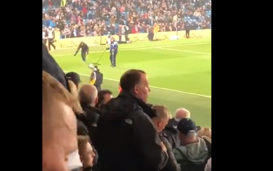 twitter-scoiattolo- campo