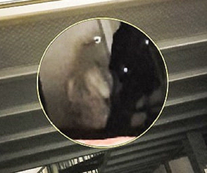 fantasma-passeggino-mamma-inglese