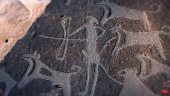 cane-arabia-saudita-