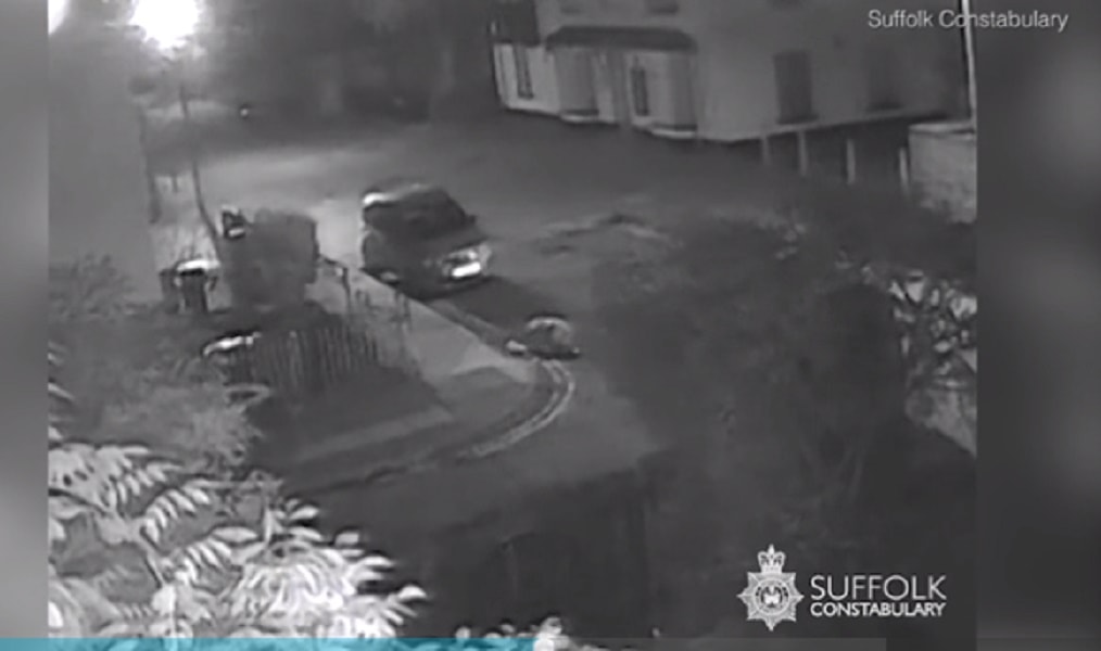 donna-rapina-daily-mail-