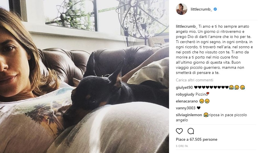 elisabetta-canalis-addio-cane