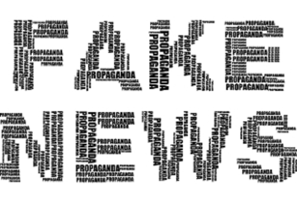 Fake-News-M5s-difesa