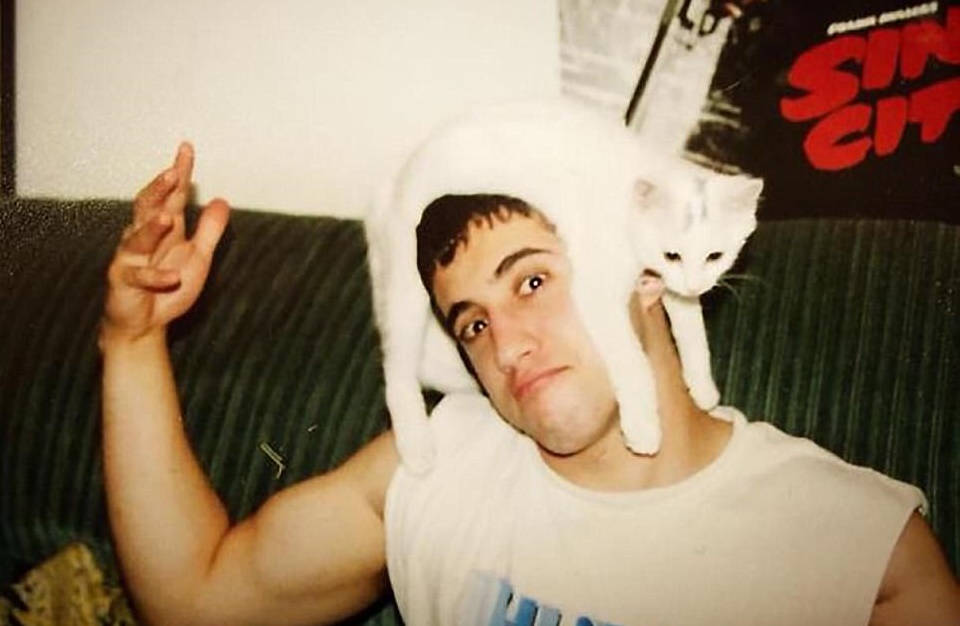 gatto-testa-moda-muscoloso