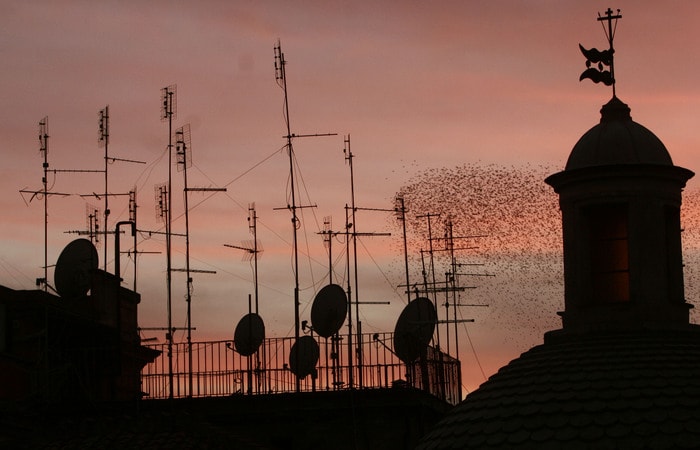 governo-stanzia-soldi-digitale