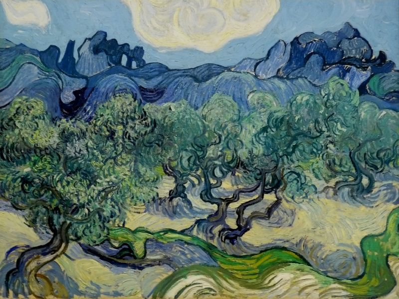 van-gogh-olive-trees
