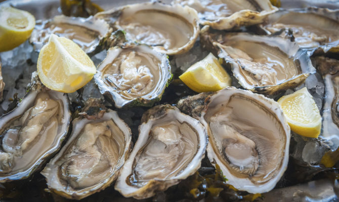 Ostriche-richiamate-biotossine