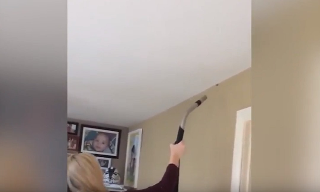 ragno-irlanda-cucina