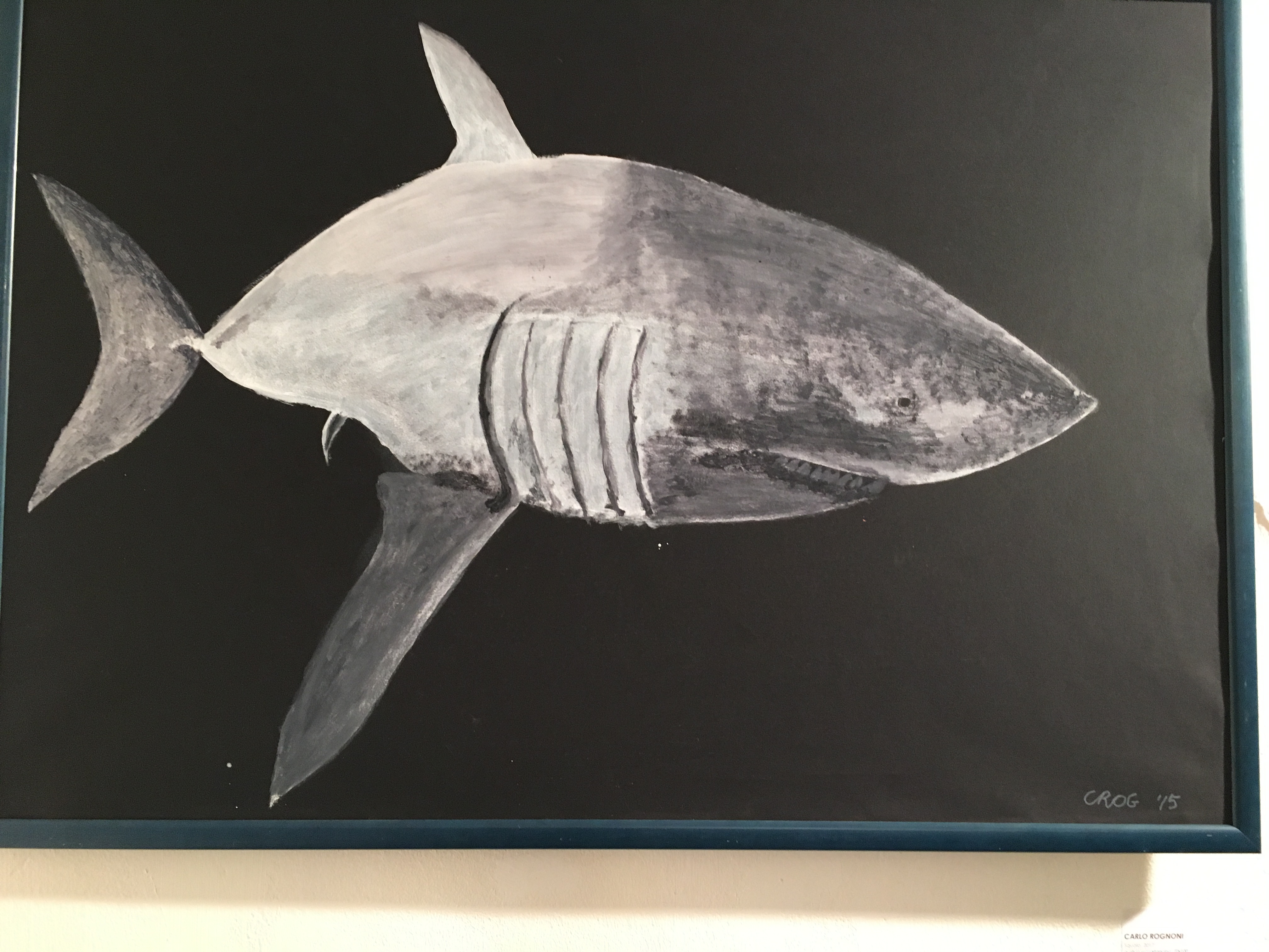 Pesci-muti-baciano-Rognoni-01