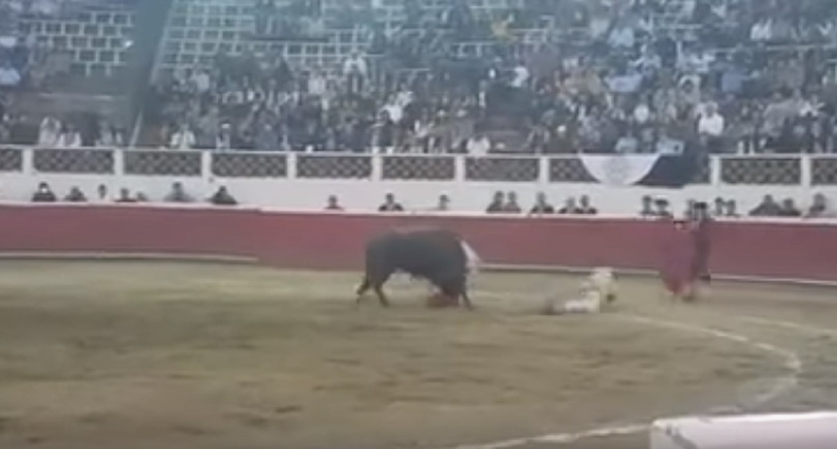 torero-incornata-spagna
