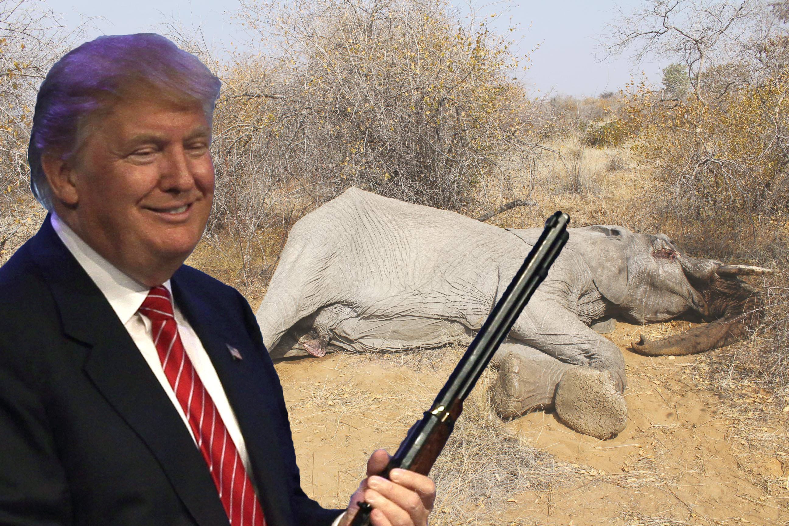 trump-elefanti