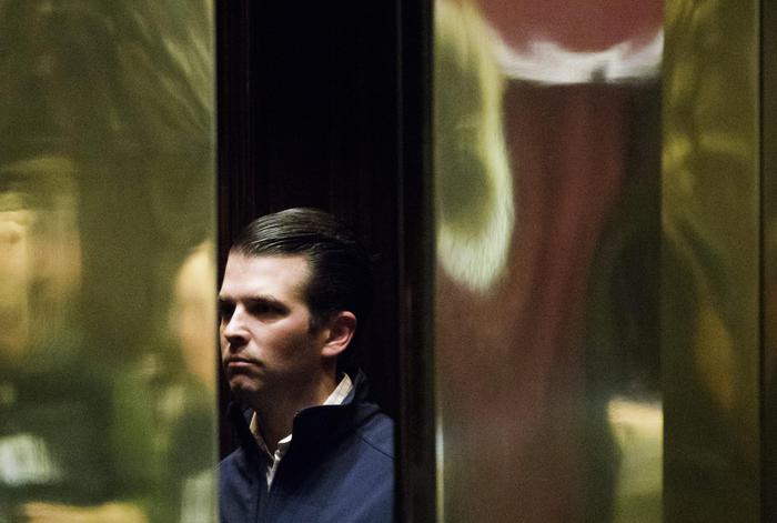 trump-jr-wikileaks