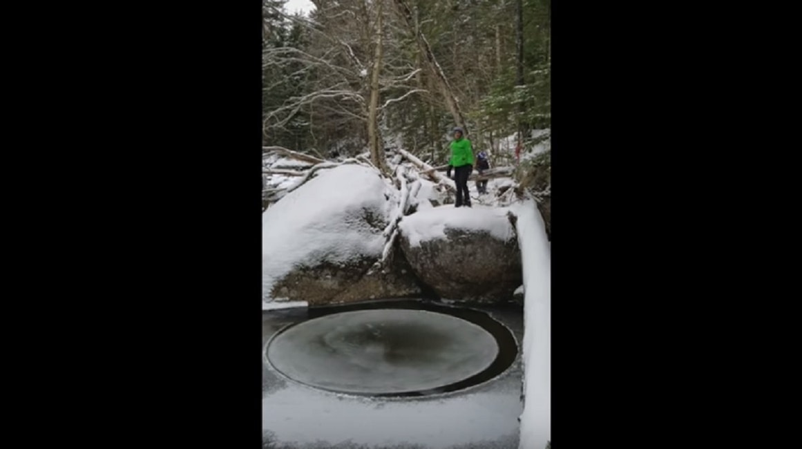 new-york-disco-rotante