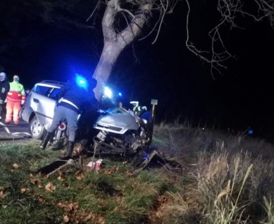 Bibbona-alessandro-brandoni