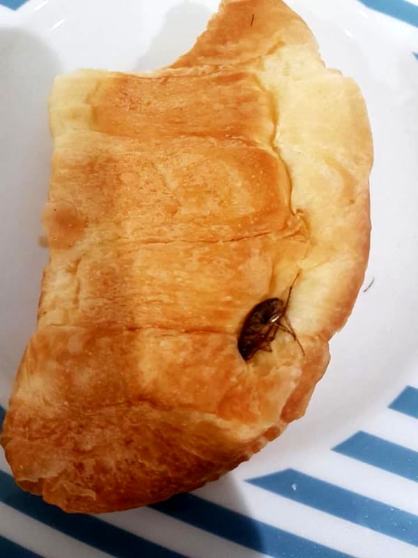 blatta-cornetto-confezionato