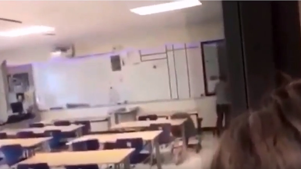 cocaina-classe-sniffa