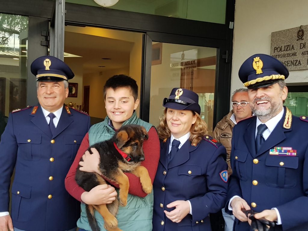 cucciolo-cane-polizia-cosenza