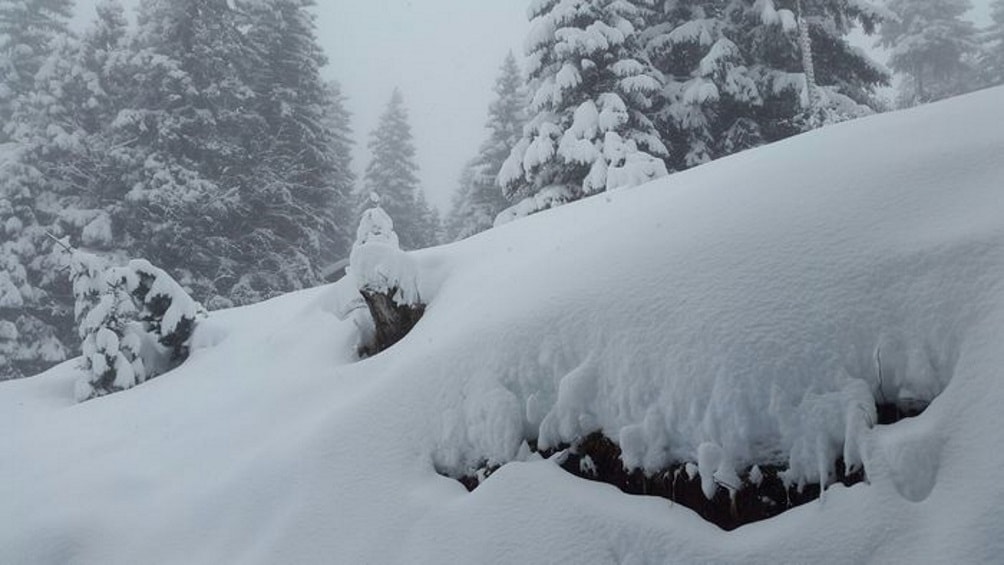 meteo-neve