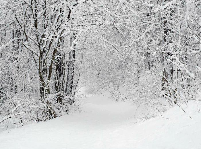 Previsioni-meteo -Natale