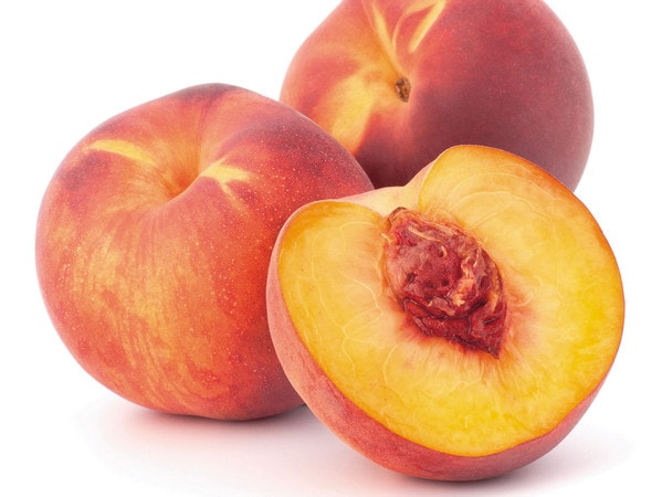 Micah-Gabriel-pesche