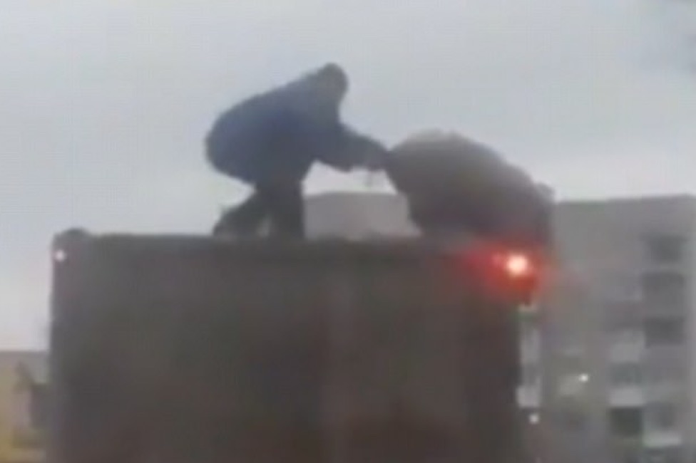 Maialino-coraggioso-scappa