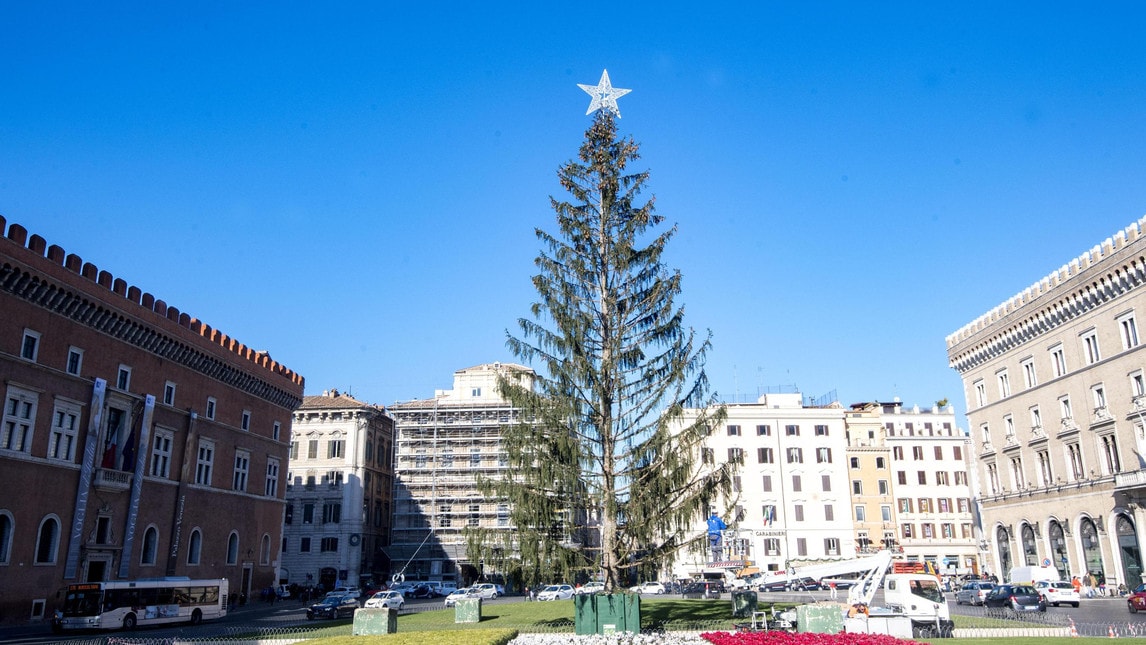 spelacchio-albero-natale