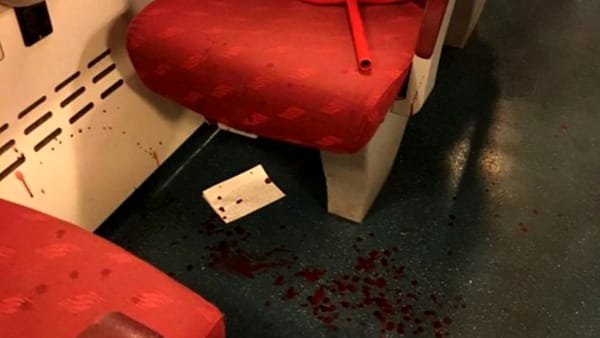 treno-milano-piacenza