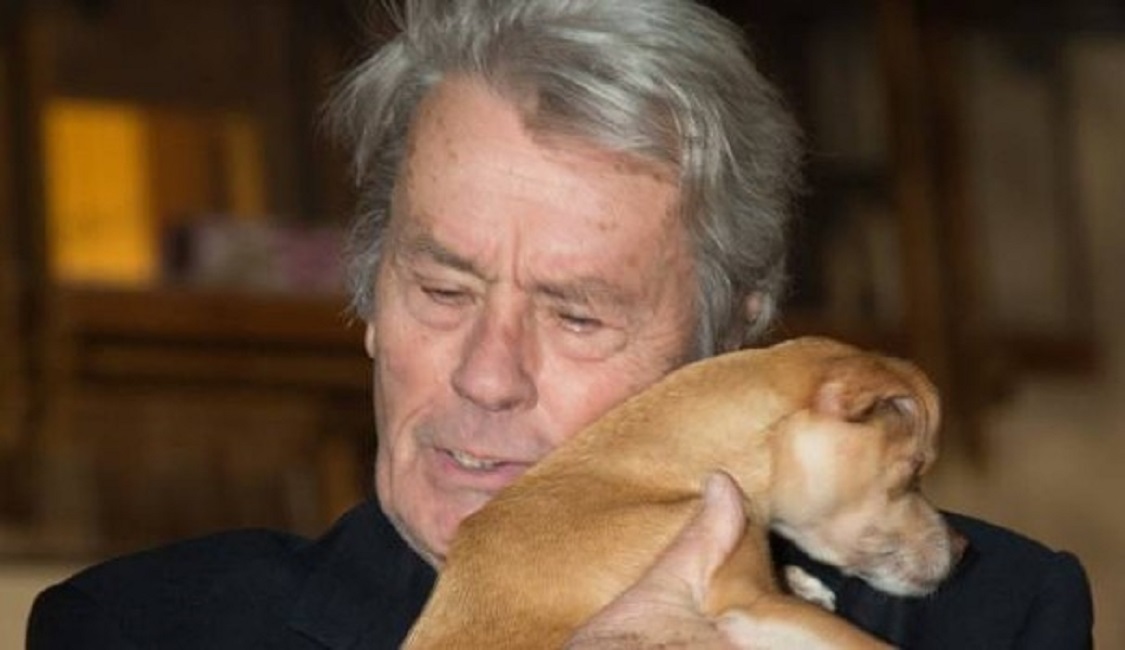 Alain-Delon.cane